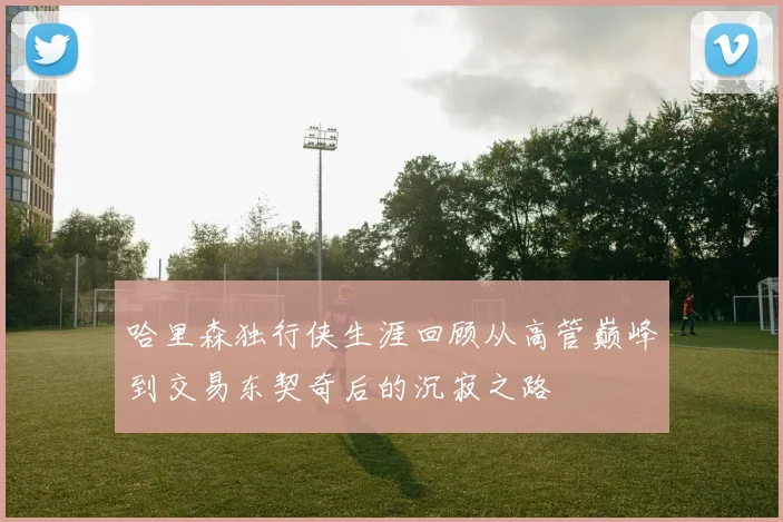 哈里森独行侠生涯回顾从高管巅峰到交易东契奇后的沉寂之路