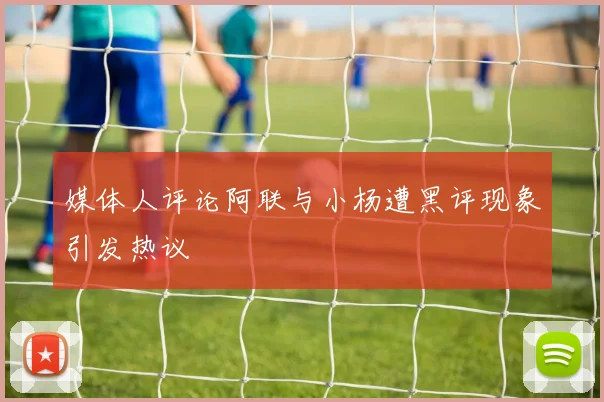 媒体人评论阿联与小杨遭黑评现象引发热议